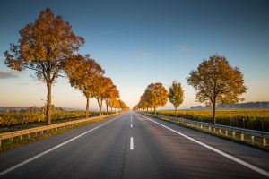 long-straight-road-with-trees-on-the-side by .