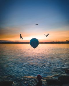 three-silhouette-of-birds-over-body-of-water by .